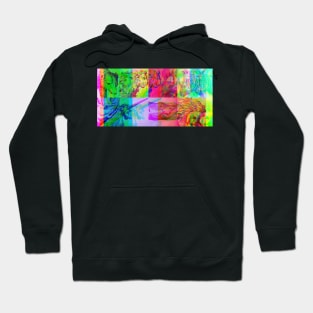 Animals Engraving Glitch version Hoodie